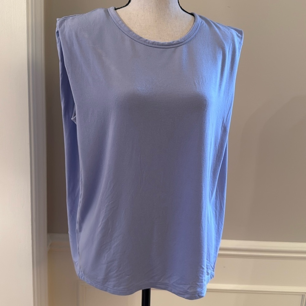 Aritzia Wilfred Women M Sleeveless Blue Top Shirt